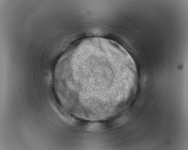 X0000111790459200908131416