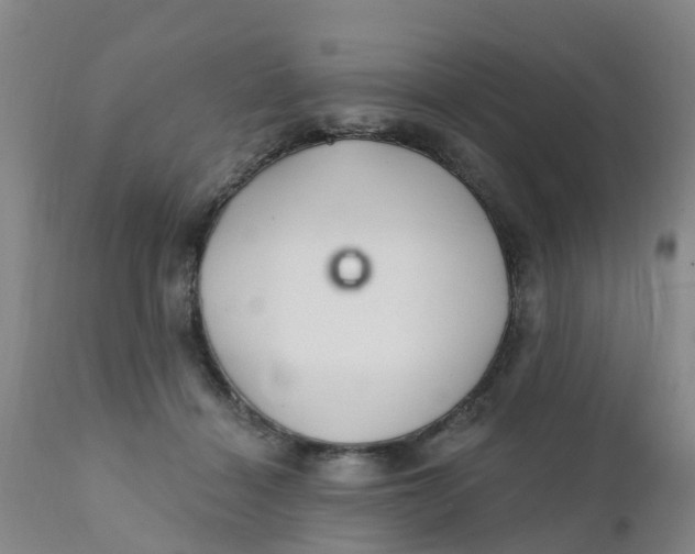 X0000111790460200908131416