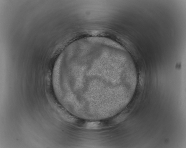 X0000111790461200908131416