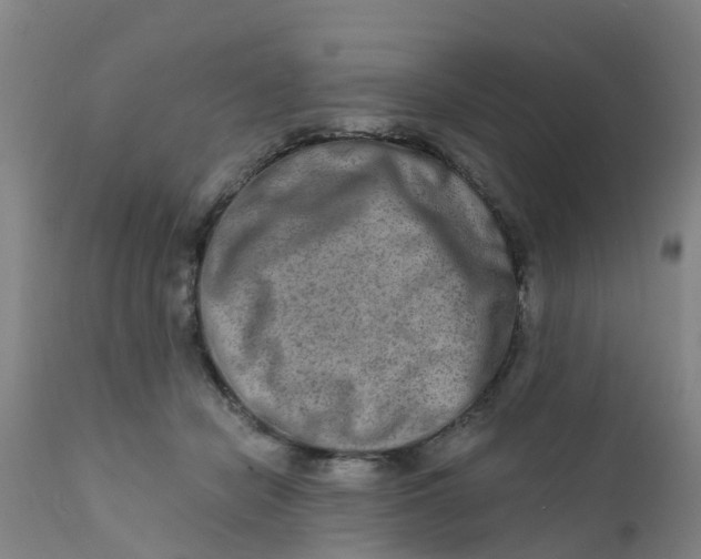 X0000111790462200908131416