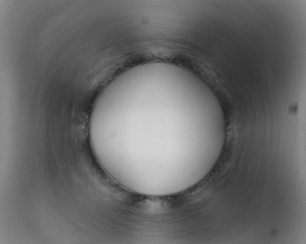 X0000111790464200908131416