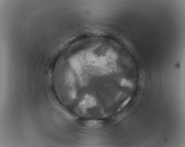 X0000111790465200908131416