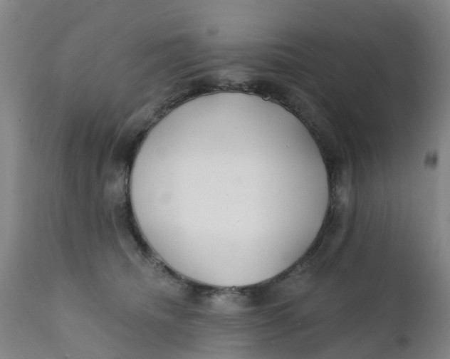 X0000111790468200908131416