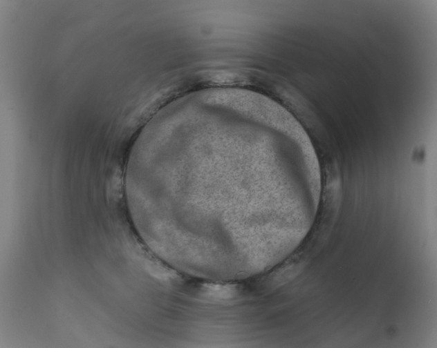 X0000111790469200908131416