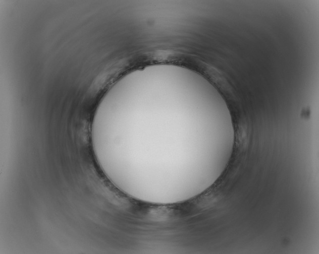 X0000111790470200908131416