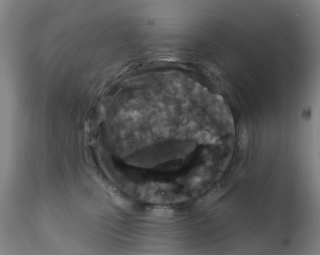 X0000111790471200908131416