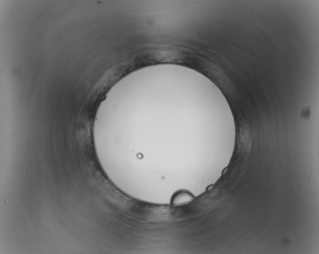 X0000111790473200908131416