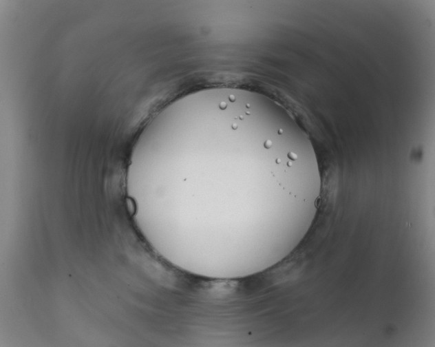 X0000111790474200908131416