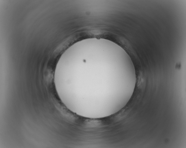 X0000111790476200908131416