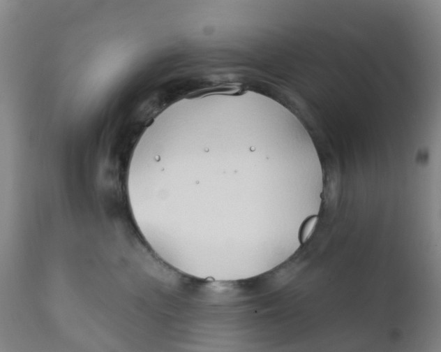 X0000111790477200908131416