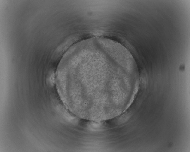 X0000111790479200908131416