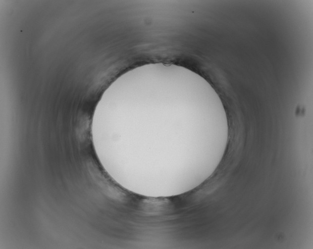 X0000111790480200908131416