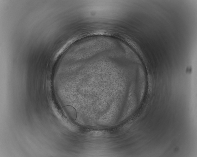 X0000111790482200908131416