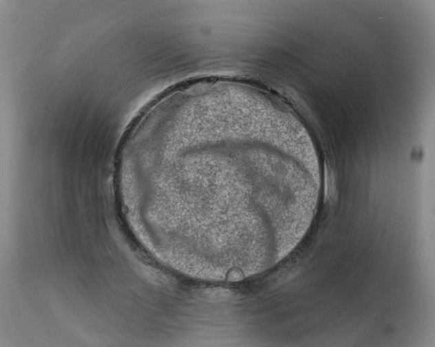 X0000111790483200908131416