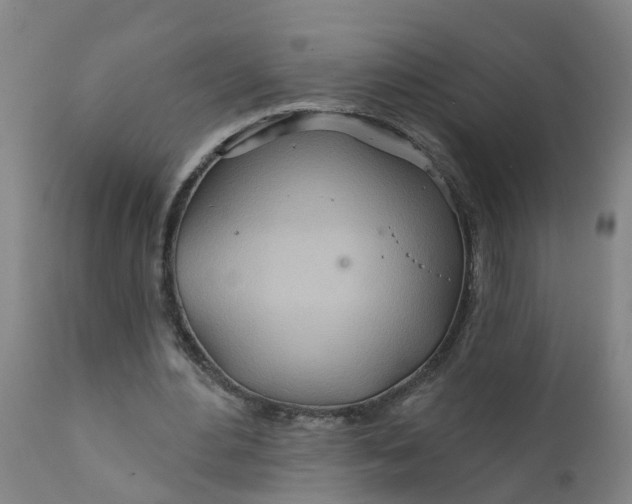 X0000111790484200908131416