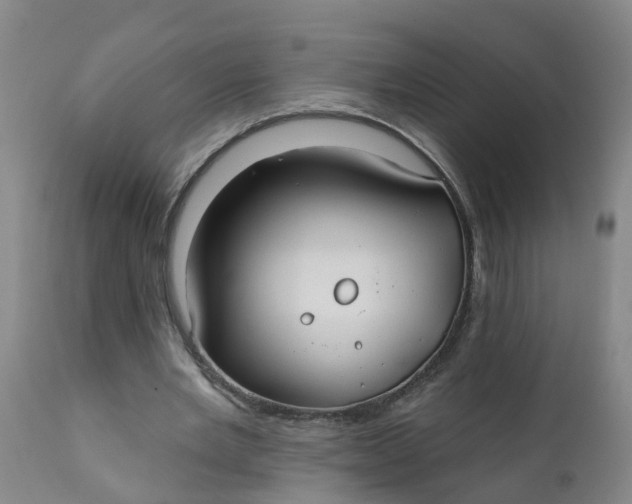 X0000111790485200908131416