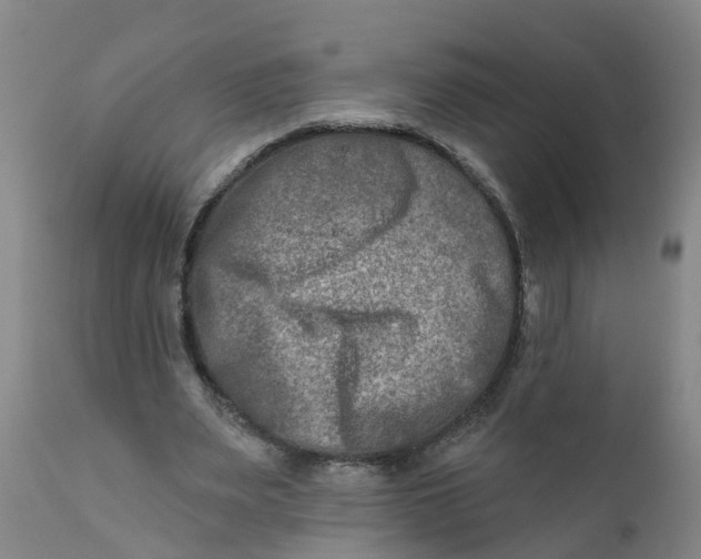 X0000111790487200908131416