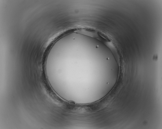 X0000111790488200908131416