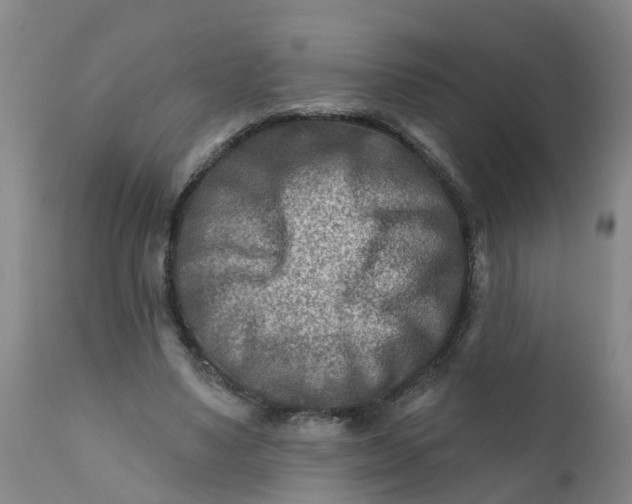 X0000111790491200908131415