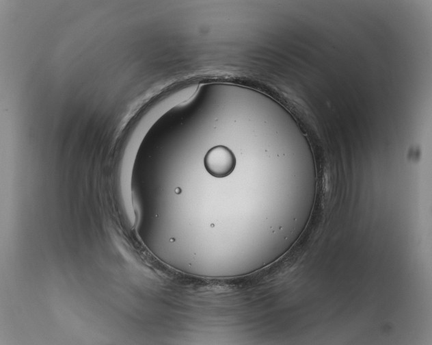 X0000111790492200908131415