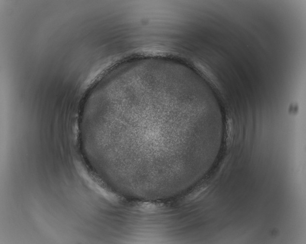 X0000111790494200908131415