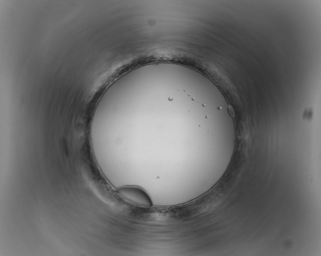 X0000111790496200908131415