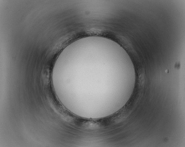 X0000111790498200908131415