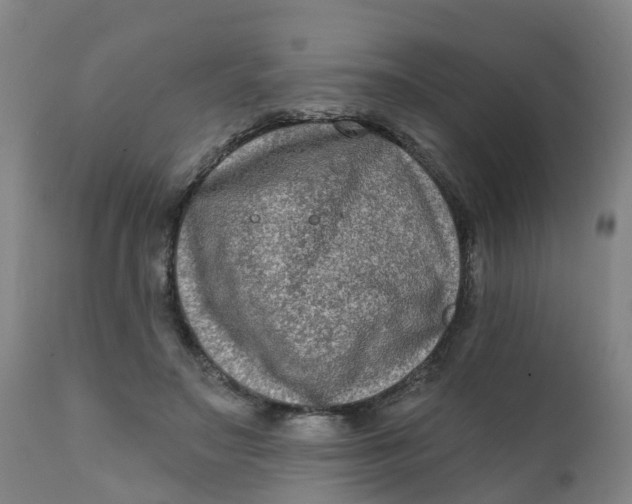 X0000111790499200908131415