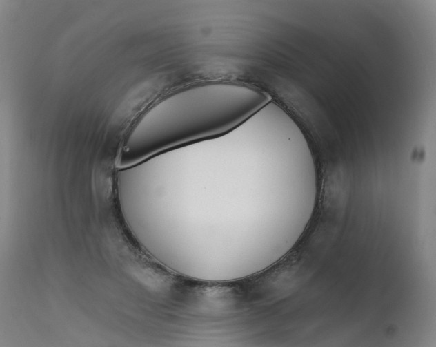 X0000111790501200908131415