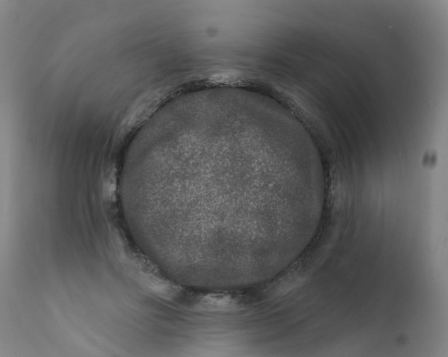 X0000111790502200908131415