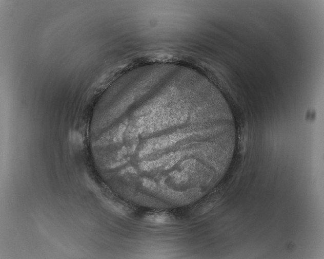 X0000111790503200908131415