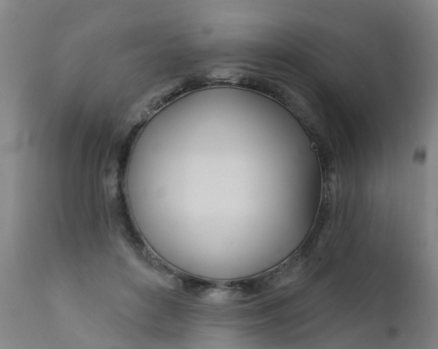 X0000111790504200908131415