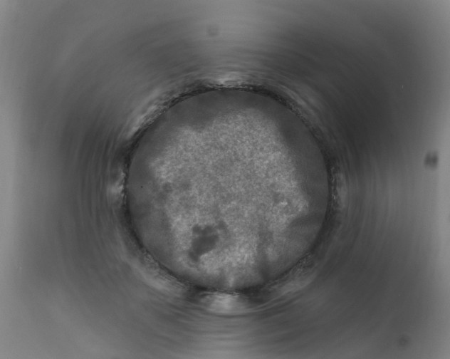 X0000111790507200908131415