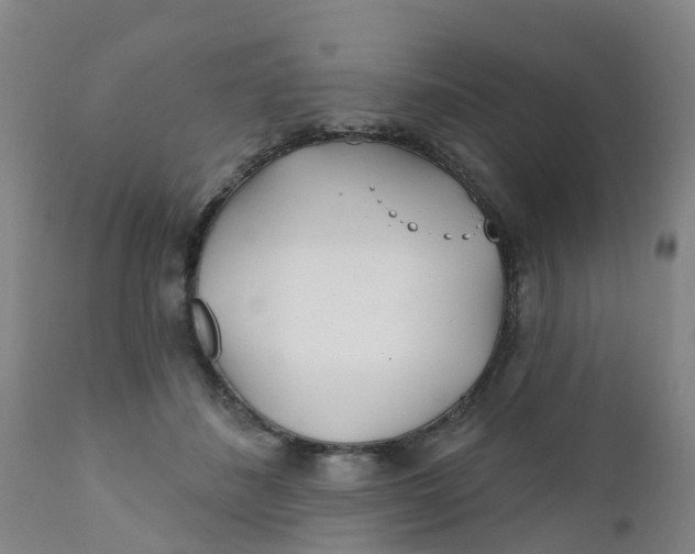 X0000111790508200908131415