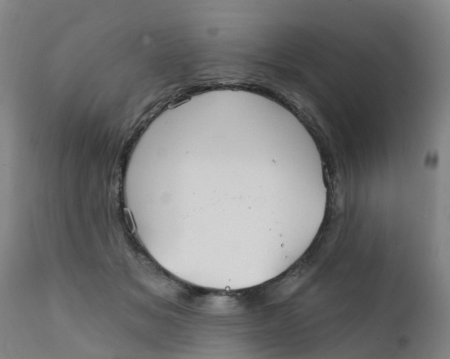 X0000111790509200908131415