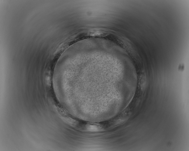 X0000111790510200908131415