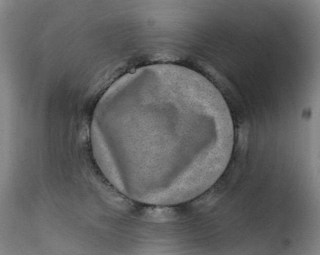 X0000111790517200908131415