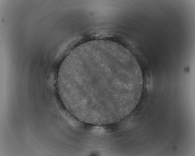 X0000111790519200908131415