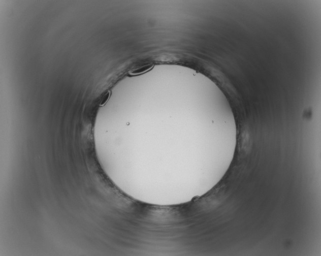 X0000111790521200908131415