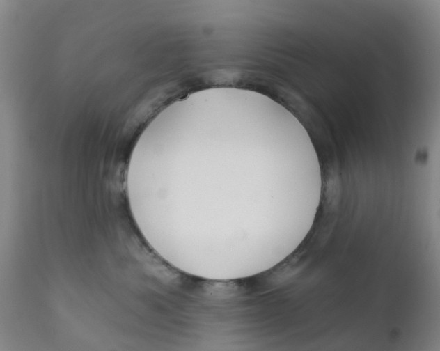 X0000111790525200908131415