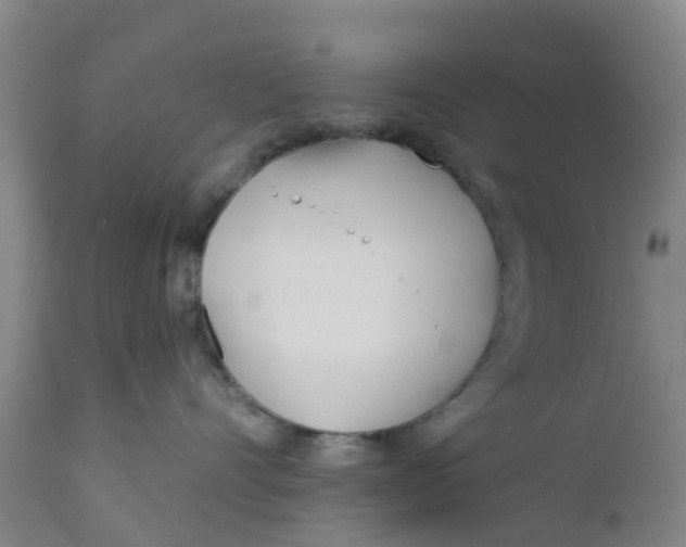 X0000111790528200908131415