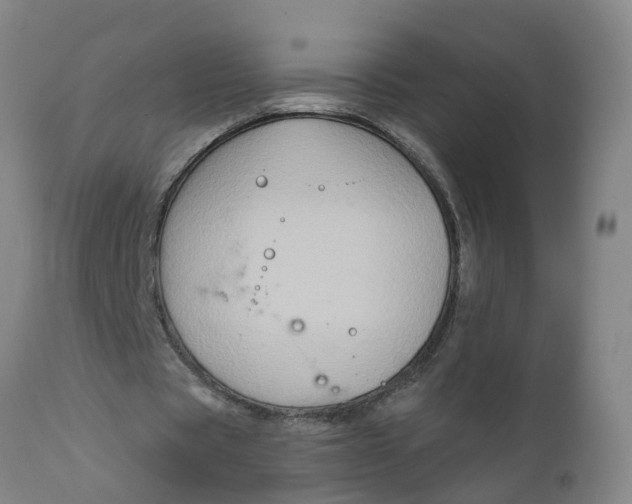 X0000111790529200908131414