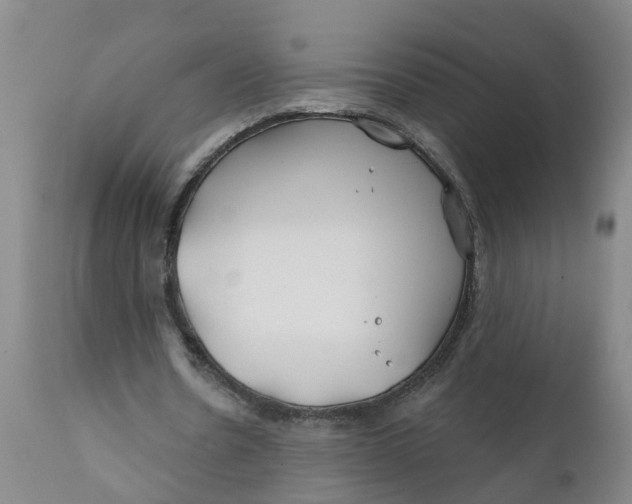 X0000111790530200908131414