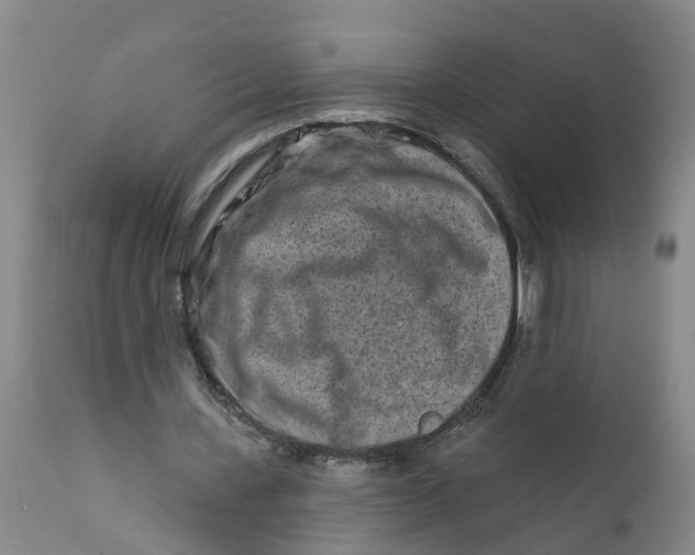 X0000111790531200908131414