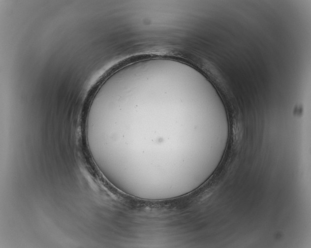 X0000111790532200908131414