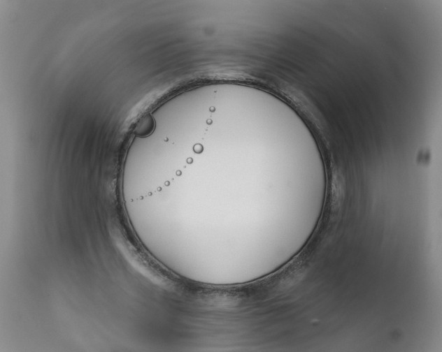 X0000111790533200908131414