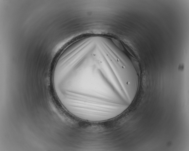 X0000111790536200908131414