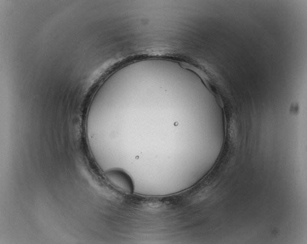 X0000111790540200908131414