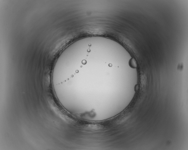 X0000111790541200908131414