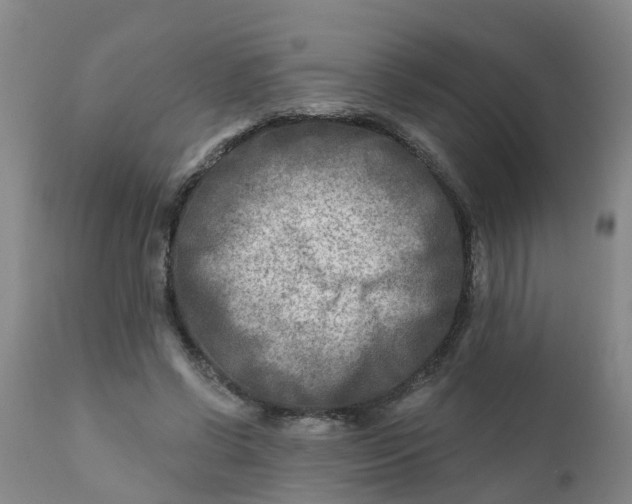 X0000111790542200908131414